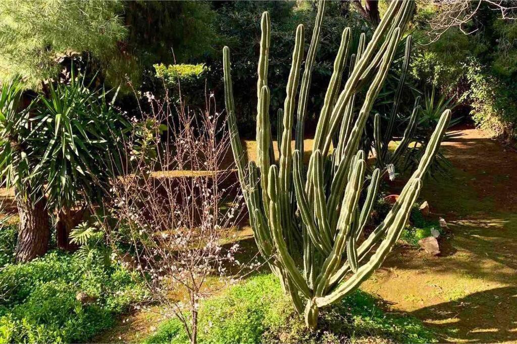 Athens Riviera Garden Views Apartment #Unoblu Ngoại thất bức ảnh